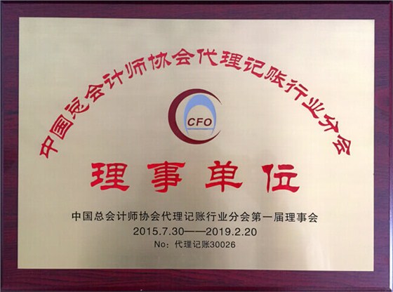 中国总会计师协会代理记账行业分会理事单位